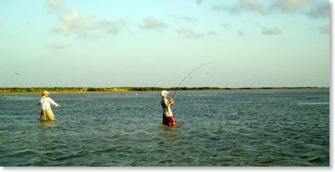 JustinMaxwellfightingred