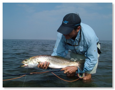 scottfebruarysandtrout