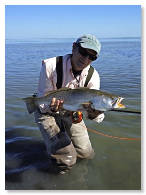 scotttrout0113