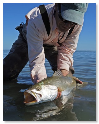 Sparrowtrout.011913.3