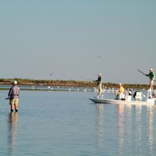 DSCF1533.JPG