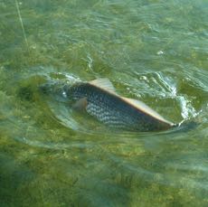 DSCF5361.JPG