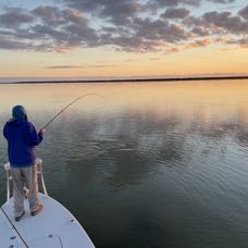 IMG_1102.jpeg