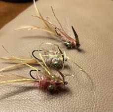 IMG_1289.jpeg