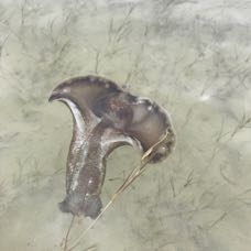 IMG_2724.jpeg