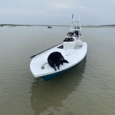 IMG_4146.jpeg