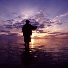 southernlivingsilhouette.jpg