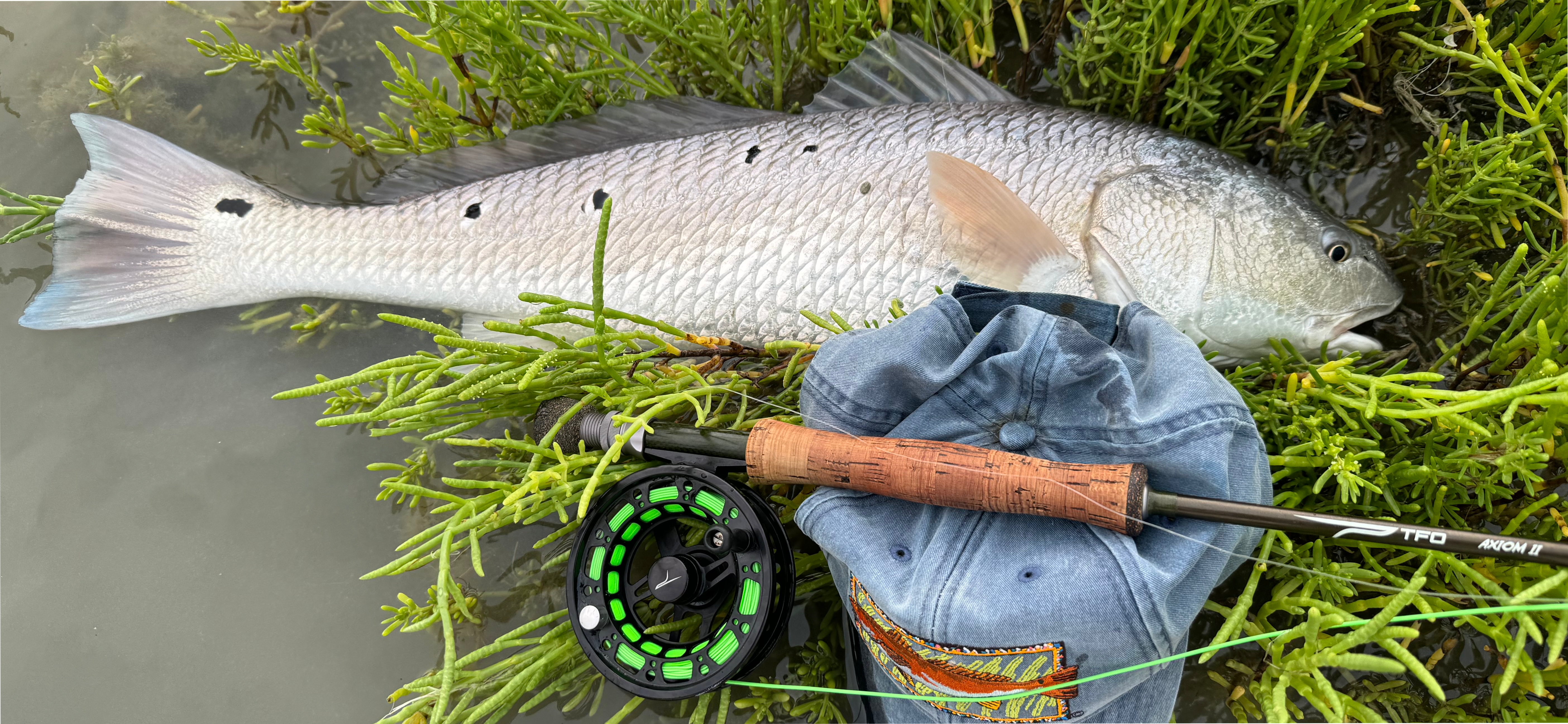 dream dictionary fishing pole The Curious Dreamer's Dictionary: How to Interpret Dream Symbol Meaning for Personal Growth: Wagaman, Nancy: 9780998545936 Books Fishing in Dreams: Patience, Pursuit,